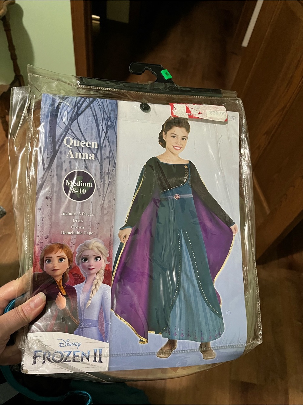 Disney Queen Anna Frozen Costume